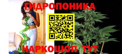 apvp Бузулук