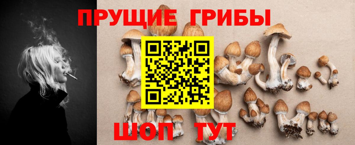 Галлюциногенные грибы мухоморы  Псилоцибиновые грибы MAGIC MUSHROOMS  Советск  Вход с VPN 